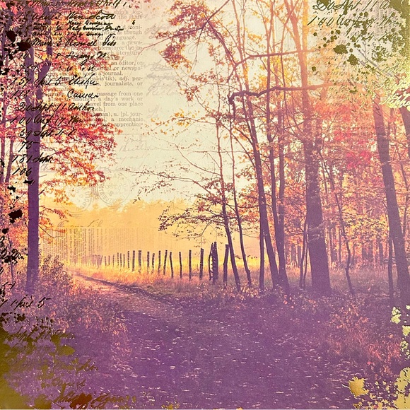 Fall Scrapbook Paper! Beautiful Autumn Colors! 12x12 Premium Card Stock! - Picture 8 of 13